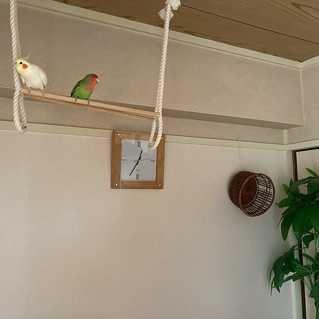 toratanさんの実例写真