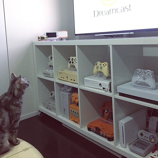 satoさんの実例写真