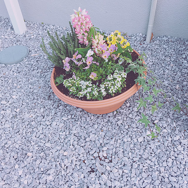 minmim.さんの実例写真