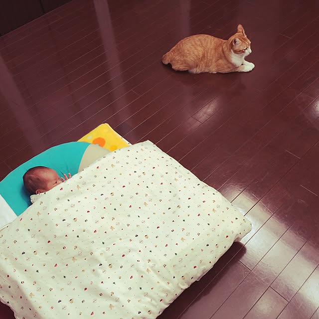kazuyonさんの実例写真