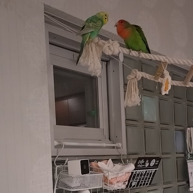 toratanさんの実例写真