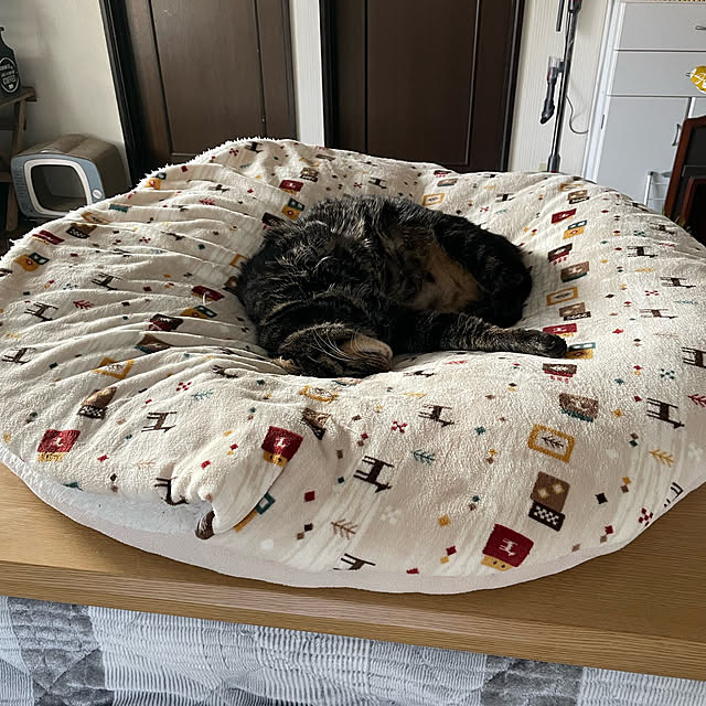 momocchiさんの部屋