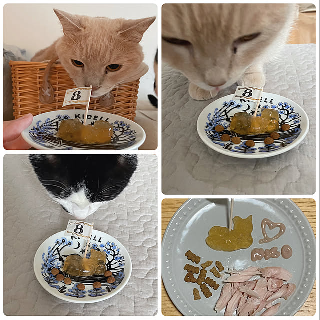 実例写真