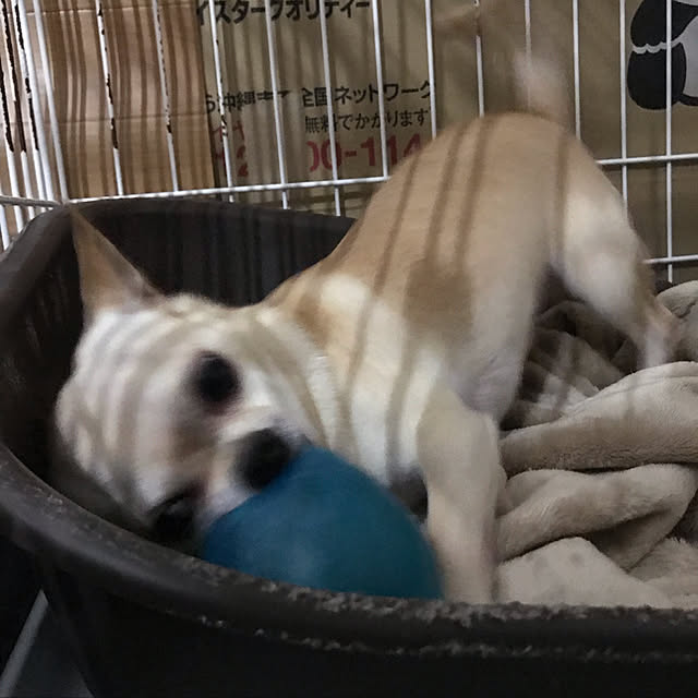 nacchintunnさんの実例写真