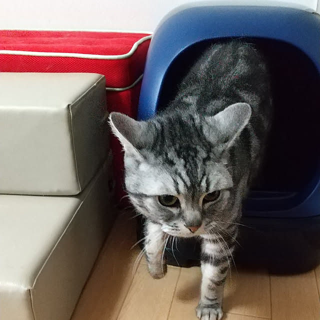 ronさんの実例写真