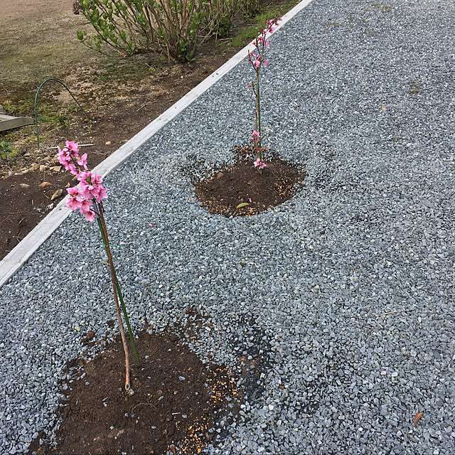 mrkさんの実例写真