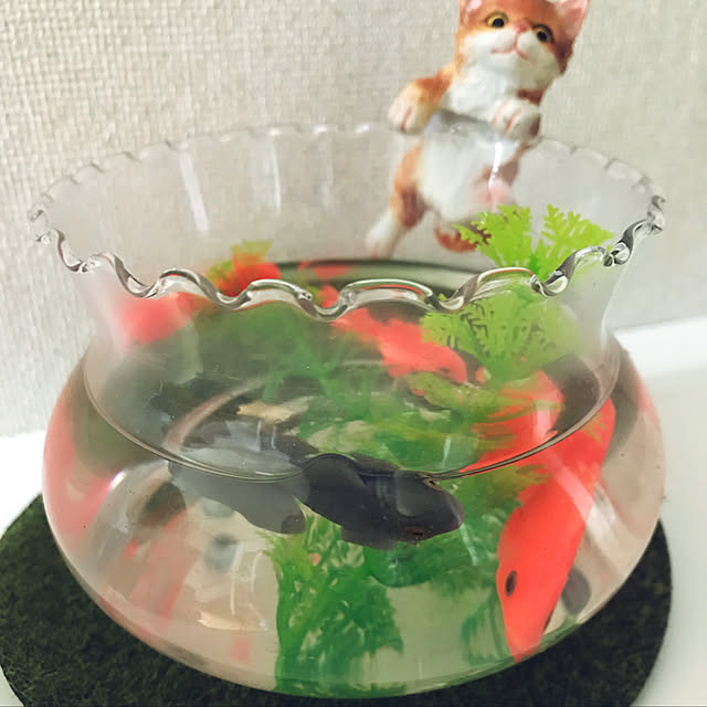 mikan-juiceさんの実例写真
