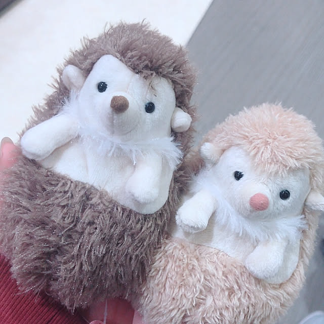 Mogu1016さんの実例写真