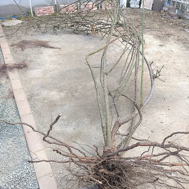 Bienvenueさんの部屋