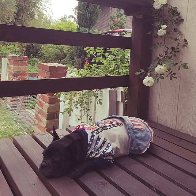 ROBI-FUKUさんの実例写真