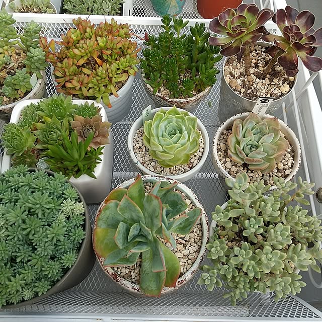 meiさんの部屋