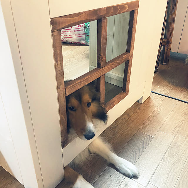 miiさんの実例写真