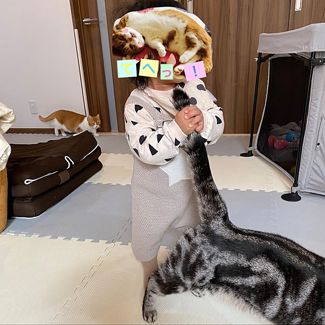 KotarouKunさんの実例写真