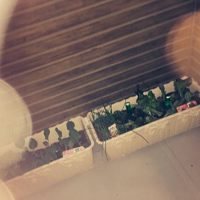 canmoe0330fさんの実例写真