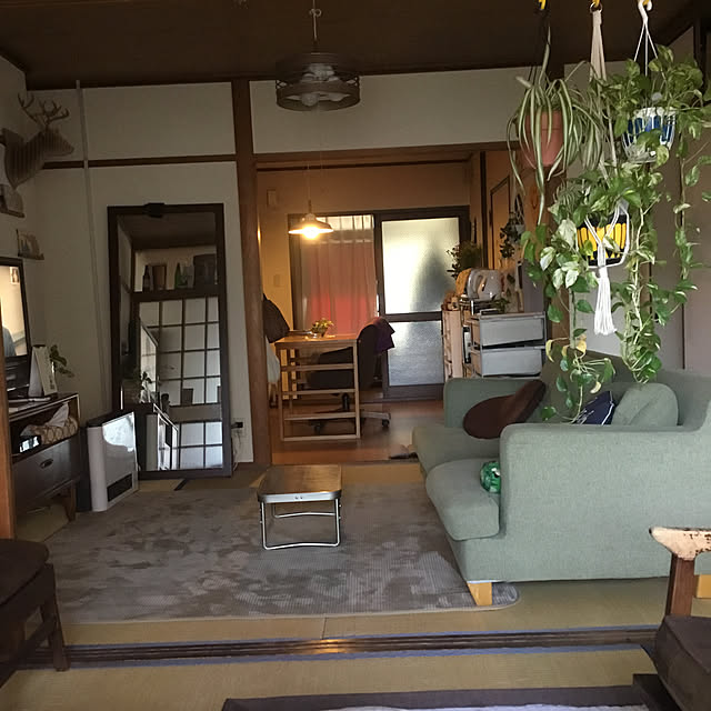 実例写真