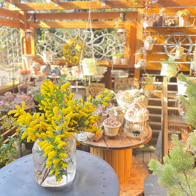 mintteaさんの部屋