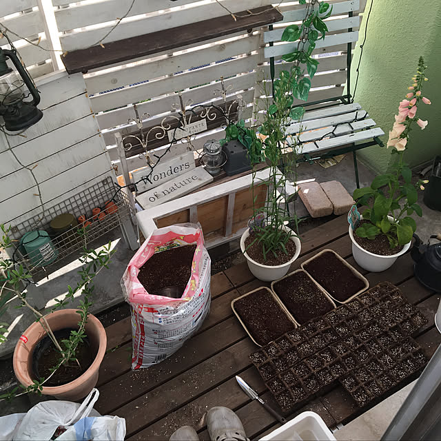 kuromameさんの実例写真