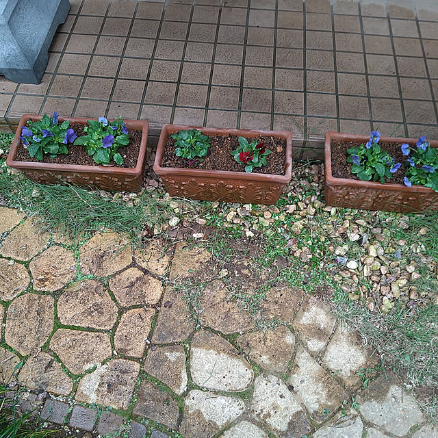 okyosan101さんの実例写真
