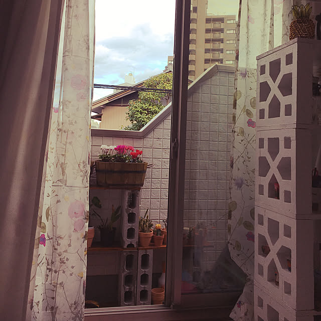 sasaさんの実例写真