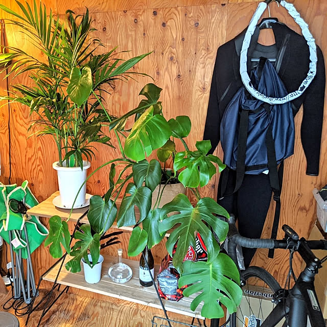 DIY/ナチュラル/観葉植物/棚のインテリア実例 - 2020-04-26 19:54:41