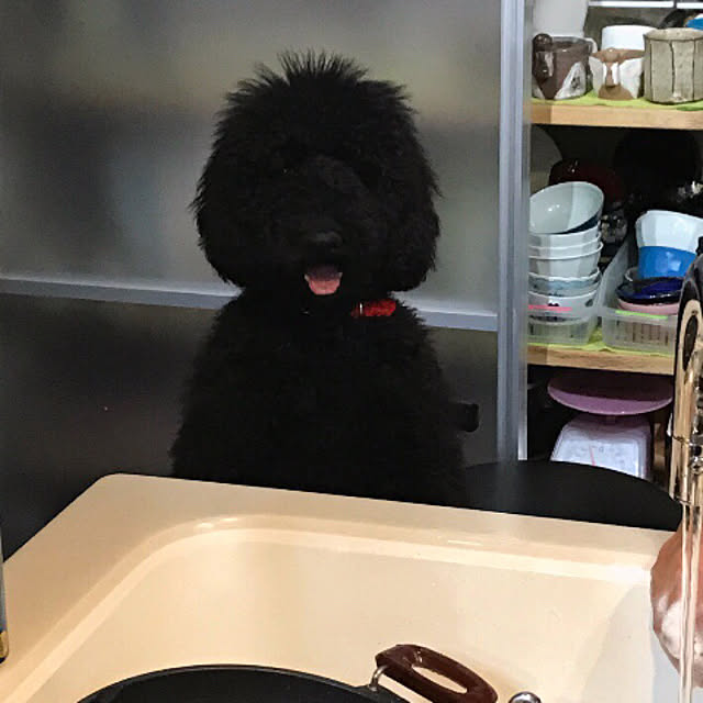 kazeさんの実例写真