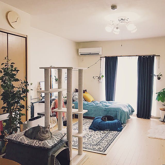 ineko_kさんの実例写真