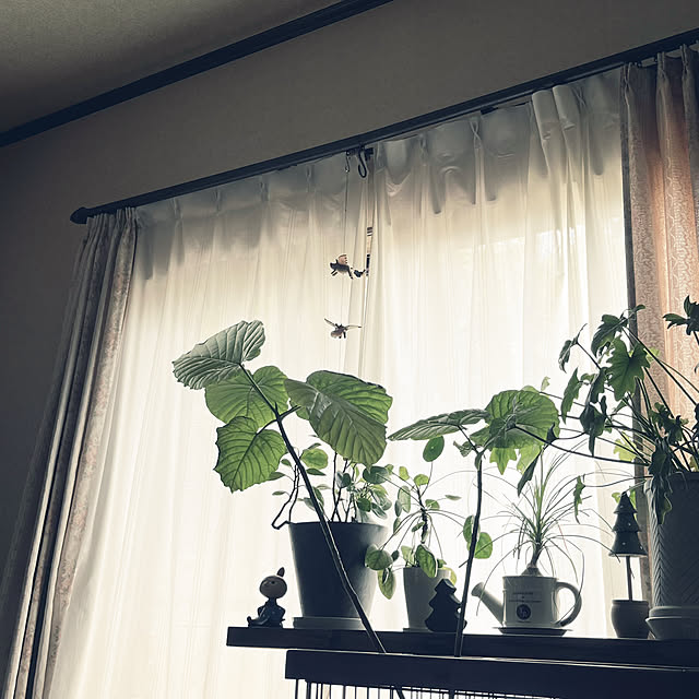 cotaさんの実例写真