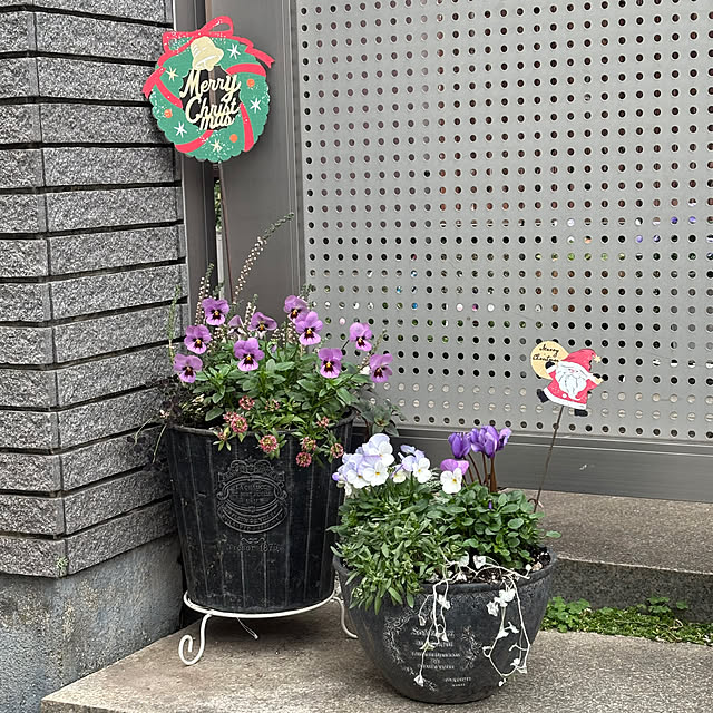 maayaさんの実例写真