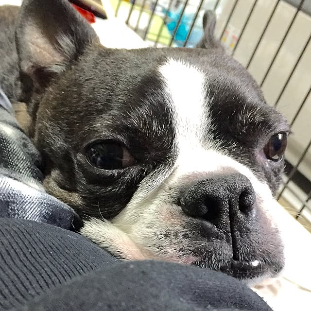 pontaさんの実例写真