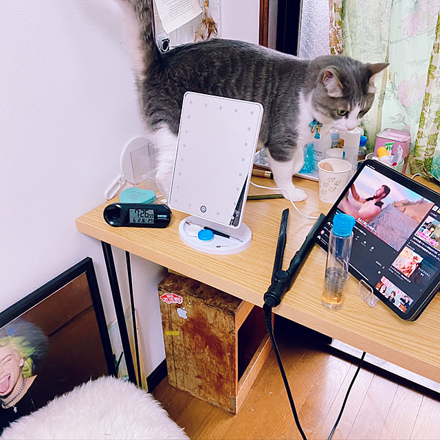 Gadgetさんの実例写真