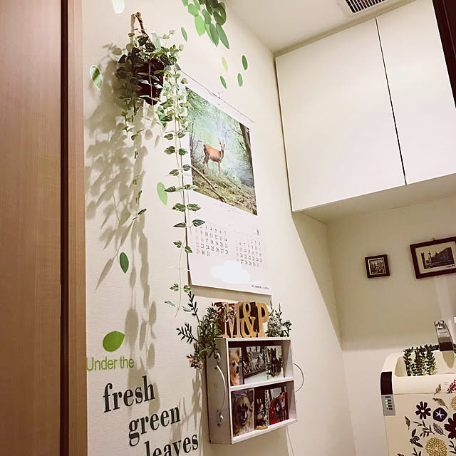 molpieさんの実例写真