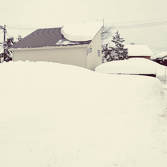 部屋全体/真っ白/雪国/大雪/カメラマーク消し...などのインテリア実例 - 2021-02-19 12:49:42