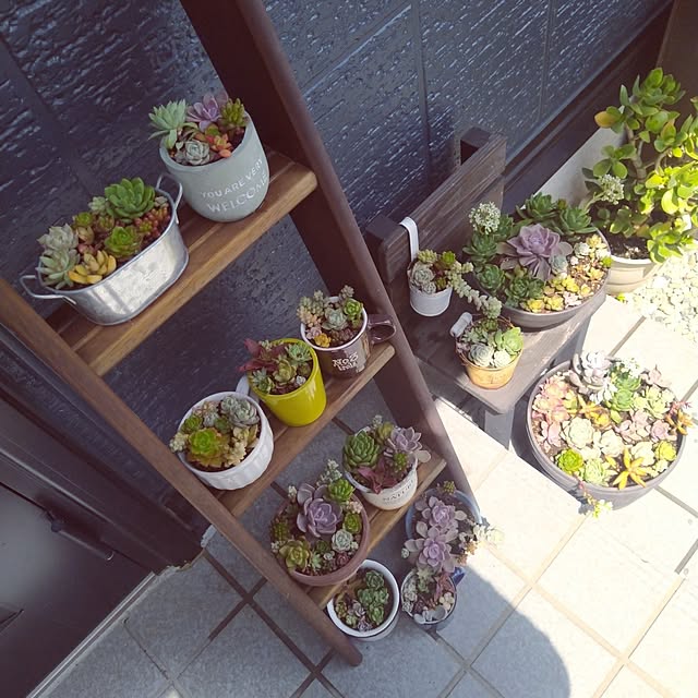 tomさんの部屋