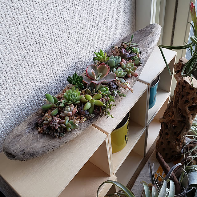oceanflatさんの実例写真