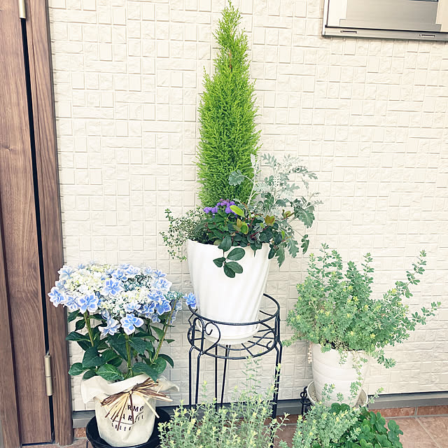 1546さんの実例写真