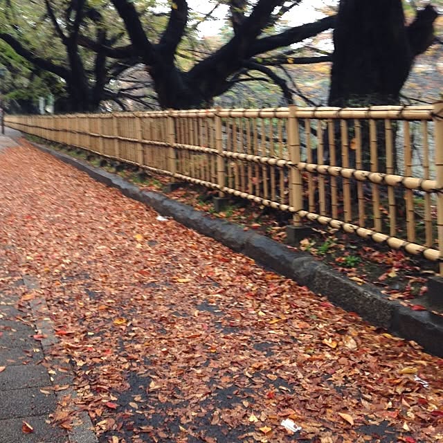 waikato19さんの部屋