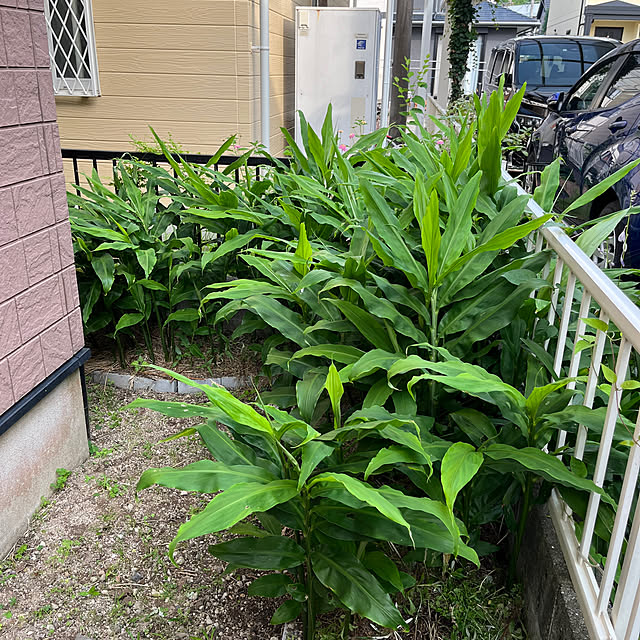 ritsukoさんの部屋