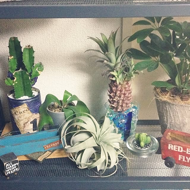 miuさんの実例写真