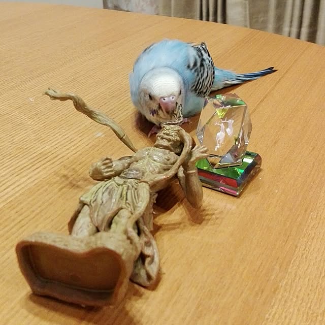 yukkieさんの実例写真