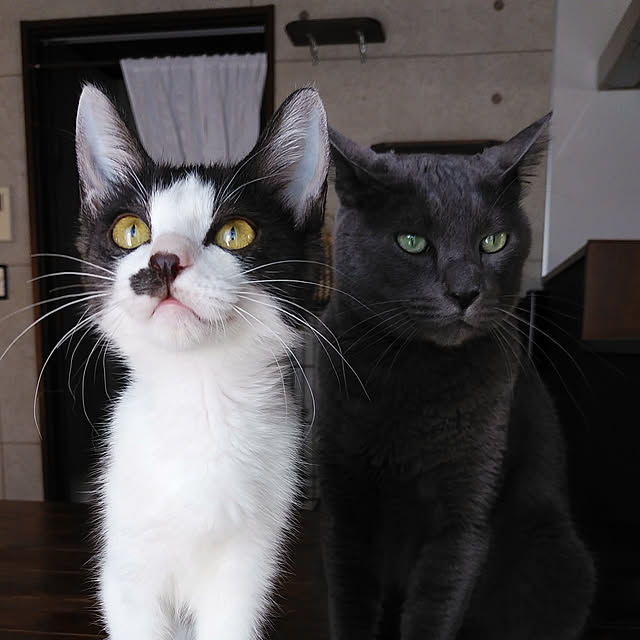 annさんの実例写真
