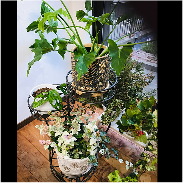 実例写真