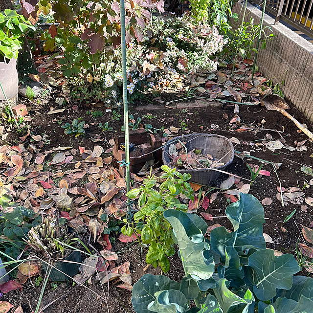botanさんの部屋
