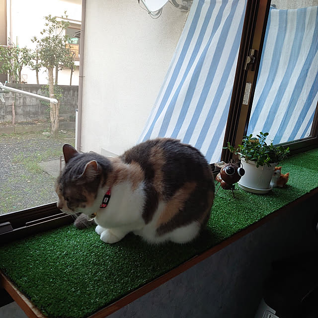 fukuさんの実例写真