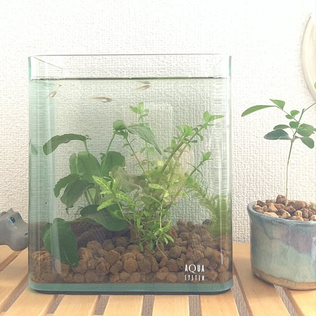 ma414kさんの実例写真