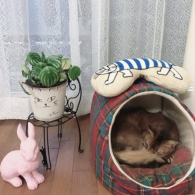 yukarinさんの実例写真