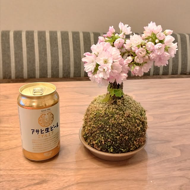 anzuさんの部屋