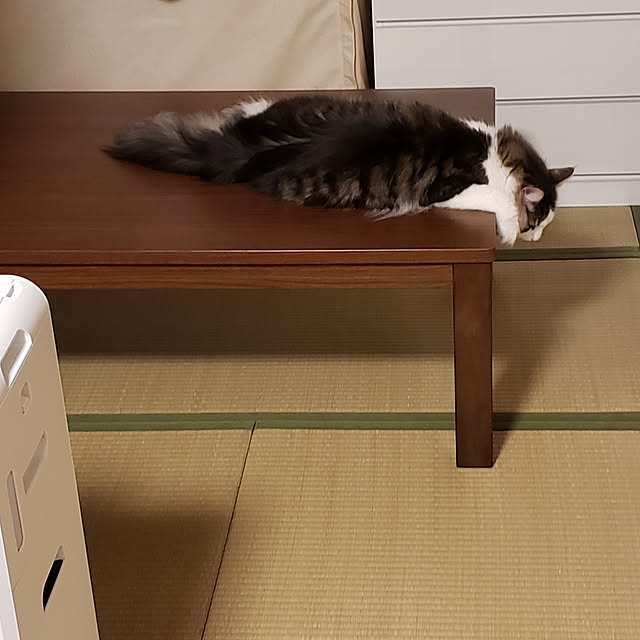 mofさんの実例写真