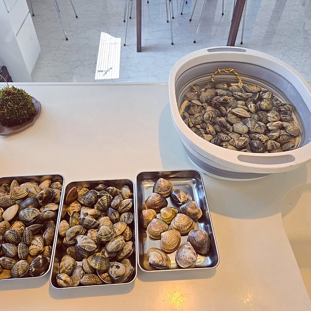 mutyukingさんの部屋