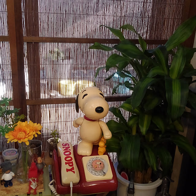 mikuriさんの実例写真