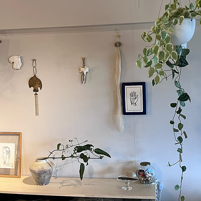 壁/天井/観葉植物/一人暮らし/リノベーション/本棚...などのインテリア実例 - 2025-04-28 23:12:20